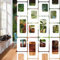 ANMINY 12 Stück hängende Raumteiler, Weiß/Opulenter Garten, Modernes geometrisches Muster, Sichtschutzpaneele, Dicke Wand, Dekorativ, Schlafzimmer, Wohnzimmer, Esszimmer, Küche, Büro, Restaurant
