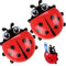 2pcs Ladybug Tier Insektenbürstenhalter Badezimmer Cartoon Zahnbürste Zahnpasta Wandsaughalter Rack Behälter Organizer