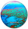 Australien Great Barrier Reef Kühlschrank Magnet Dekorativer Magnet Aufkleber Reise Souvenir Sammlung Tourist City Geschenk Whiteboard Küche