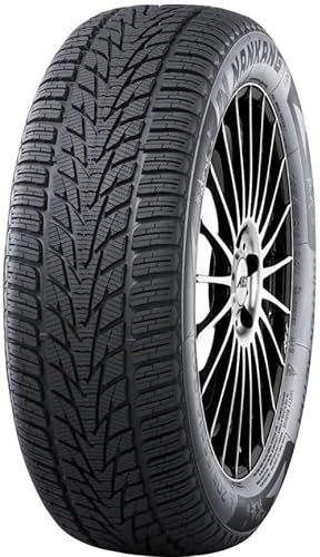 NANKANG Winterreifen 205/55 R 16 XL TL 94V WINTER ACTIVA SV-4 BSW M+S 3PMSF