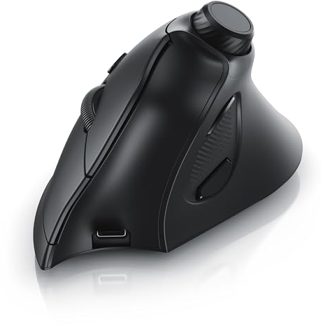CSL - optische Wireless Maus Vertikal - kabellos Funk - vertikale Ausführung - ergonomisches Design - Vorbeugung gegen Mausarm Tennisarm - besonders armschonend - Multimedia-Drehregler - 5 Tasten