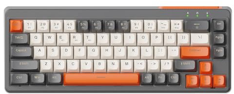 LexonElec X FREEWOLF M68 Clavier Gaming sans Fil 65%, QWERTY, BT/2.4G/Câblé, Clavier à Membrane Silencieux, Rétroéclairage Arc-en-Ciel, 67 Touches PBT, 2000mAh, Portable pour Gamer/Bureau - Gris