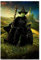 Grupo Erik Poster Kunstdruck Wicked Elphaba Poster Deko Wohnzimmer oder Deko Schlafzimmer - Deko Zimmer - Größe 61 x 91 - Offizieller Kingdom of the Wicked Fanartikel