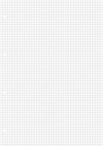 Brunnen 1066902 Ringbucheinlagen A4 (kariert, 50 Blatt, 70 g/m²)
