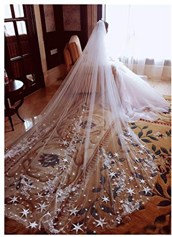 TGRTY Braut Hochzeitsschleier Brautschleier dünn und weich All-Inclusive-Edge-Stern SpitzeApplique Doppel Lange Schleier mit Kamm Weiß Champagne-Brautschleier Wunderschöner Brauttüll