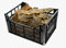 Caja corteza de corcho 100 % natural, fabricado en Italia para belén, bricolaje (1 kg)