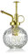 KoGiio Pflanzen Glas Sprühflasche, 240ml Retro Relief Pflanzensprüher mit Pumpe, Blumen Zerstäuber Drucksprüher für Balkon Kleiner Gartenpflanzen Indoor Haus Oder Büro Transparent + Goldener Sprühkopf