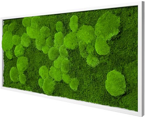 Moos Design | Moosbild in versch. Größen (Fifty Fifty Design, Holzrahmen: weiß, 110 x 55 cm)
