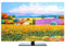 NANKAN Hülle Bezug für Fernsehen Schutzhülle Für TV Und Monitor 22 Bis 80 Zoll für LCD, LED, Indoor helle Staubschutz TV-Abdeckung mit Ölgemälde Design Polyester Material(Color:bunt,Size:32in)