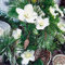 20 kleine Cocktail-Servietten Winterrose und Zweige | Rose | Blumen | Weihnachten | Winter | Tischdeko | Decoupage | Serviettentechnik 25x25cm