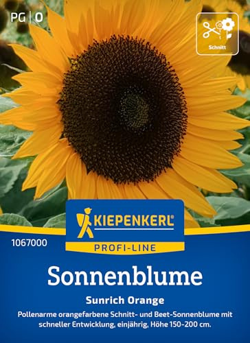 Kiepenkerl Sonnenblumensamen Sunrich Orange 1067000, Blumensaat | Pollenarme Sonnenblumen für Beete und Arrangements, Blumensamen Mischung, Höhe 150-200 cm, einjährig