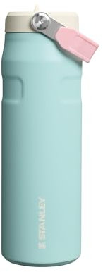 Stanley Flip Straw 2.0 Gourde Isotherme Avec Paille 0.7L - 10 Heures Froide - 2 Jours Glacée - Acier Inoxydable - Sans BPA - Etanche - Lavable Au Lave-Vaisselle - Thermos - Poolside