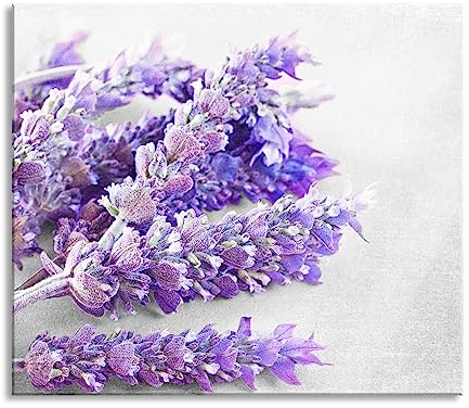 getrockneter Lavendel Herdabdeckplatte & Spritzschutz aus Echtglas | Für Herd-Kochfelder | 60x52 cm