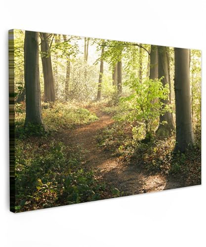 MuchoWow© Bilder Groß 120x80 cm XXL Wohnzimmer Deko Modern Wandbild Foto auf Leinwand Bild Schlafzimmer Room Decor Geschenke Wandbilder Wald - Bäume - Weg - Sonne - Pflanzen - Blätter - Natur - Baum