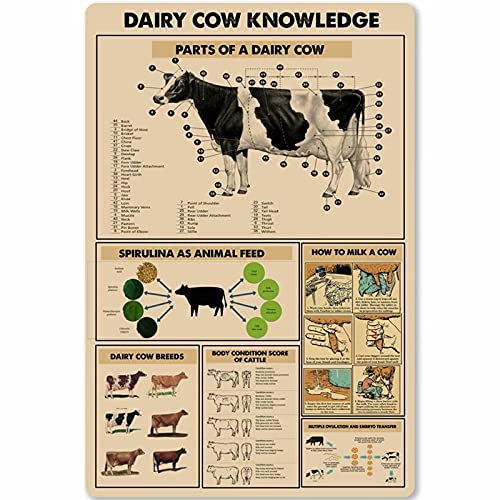 Metal Vintage Placa Antigüedad Del Conocimiento De La Vaca Lechera Cartel De Chapa Retro Retro Póster Metal Para Hogar, Jardín, Garaje 30x40cm