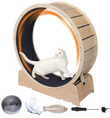 Skrnqcoz Stor kattträningshjul 102 cm löpband övare för inomhus katter kärlek katt löpning leksak promenader träning för fitness viktminskning enhet lämplig för de flesta katter fysisk träning