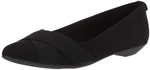 Anne Klein Women's OaliseBallet Flat | Casual Shoes