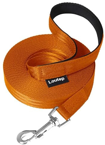 Loutep Laisse de dressage pour chiens de 3 m, 5 m, 10 m, 15 m, 20 m, 25 m, 30 m, corde en nylon robuste avec poignée rembourrée pour chiens de petite, moyenne et grande taille, pour promener, obéir et