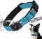AirTag Hundehalsband, IP68 wasserdichte Integriertes Apple Air Tag Halter Hundehalsband mit AirTag Halter, Reflektierend, Besonders haltbar, Hundehalsbänder für mittlere große Hunde [Blau,M]