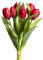 Botanic-Haus künstliches Tulpenbündel/künstlicher Tulpenbund Sandy mit 4 Tulpen und 3 Tulpenknospen Farbe: rot real Touch