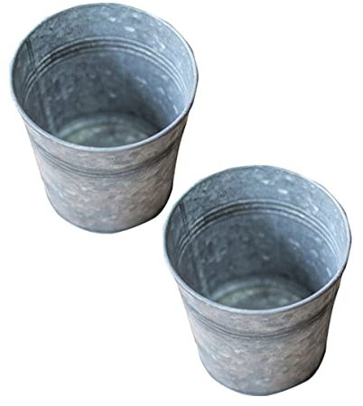 Parliky 2 Pz Vaso di fiori succulenti in latta piante di fiori latta galvanizzata può vaso vasi per piante vasi piante secchio di fiori secchi secchio per piantare ferro da stiro Silver