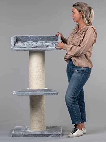 Arbres à Chat RHRQuality pour Grands Chats – Maine Coon Lounge – 120 cm de Haut – avec poteaux en sisal Extra épais de 20 cm – Gris Clair