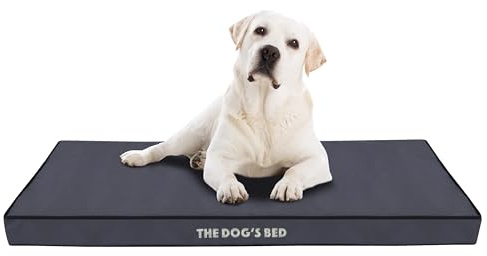 The Dog's Bed Orthopädisches Hundebett aus Eierkartonschaumstoff mit Stütze, XL, grau mit schwarzer Verzierung, wasserdicht, stützendes Hundebett mit austauschbaren Bezügen, tierärztlich zugelassen