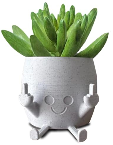 SIXPKIN Smiling Plant Pot with Middle Fingers Up, Flower Pots for Succulents, Funny Planter Pot