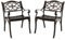COSTWAY 2er Set Gartenstühle aus Aluminiumguss, wetterfeste Terrassenstühle mit Armlehnen, Balkonstühle für Garten, Balkon, Hinterhof, Bronze