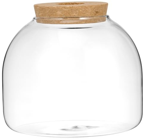 ibasenice Kleines Terrarium für Hydroponische Pflanzen Ökosystem Behälter für Moos und Fische Dekorative Vase für Indoor Gestaltung Korkdeckel und Lochstopfen