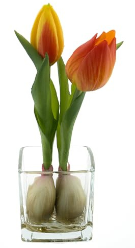 mucplants Künstliche Tulpen im Glas, Tischdekoration, ca. 19 cm Höhe, Osterdekoration, Tulpenarrangement (Orange)