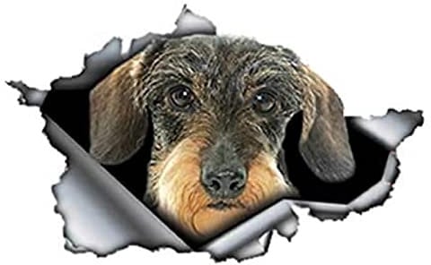 PMSMT 2 x Auto-Aufkleber, 3D-Dackel, zerrissene Autoaufkleber, reflektierend, PVC, wasserdicht, 15 x 9,2 cm, reflektierend