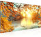 Runa Art Wandbild Sonniger Wald 100 x 40 cm Modern Bild auf Vlies Leinwand Wald Natur Wohnzimmer Schlafzimmer Orange Gelb 050012a