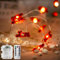 300 cm Rote LED-Lichterkette in Herzform, Herzförmige Lichterkette mit 30 Glühbirnen, Funkelnde Silberdraht Herzen Draht Lichterketten, Red Heart and LOVE LED Light Chain für Außen Innen (B)