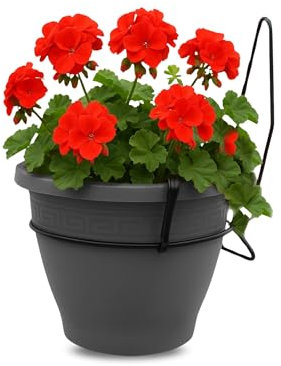TECHZOCO Macetero con Soporte de Pared, Maceta Redonda plástico, Tiesto Colgar Flores, Fabricado en Polipropileno, Recipiente Pared para Flores, 18 cm diámetro x 16 cm Base x 18 cm Alto, Antracita