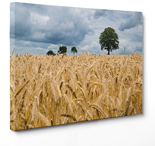Quadro su Tela Canvas - INTELAIATO - Pronto da Appendere - Campagna Spighe di Grano - Paesaggio Natura Panorama - 50x70cm - Senza Cornice - (cod.4410)