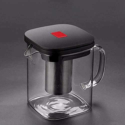 ARNUZ Teiera in vetro semplice e creativa, in borosilicato trasparente, con filtro per infusore in acciaio inossidabile 304, 600 ml,