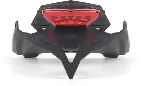 APNWVFO Motorbike Registration Plate Holder For BMW F900 R F900R 2020- Motorcycle Rear Short Tail Tidy License Plate Holder Rack Tail Frame Bracket Tail Tidy(Red)