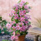 Clematide Piilu (per Muri e Recinzioni, Pergola, Patio, Balconi e Terrazze) - Vaso 1,5 litro (Pianta Rampicante - Clematis Rosa - Pianta Adulta) | ClematisOnline