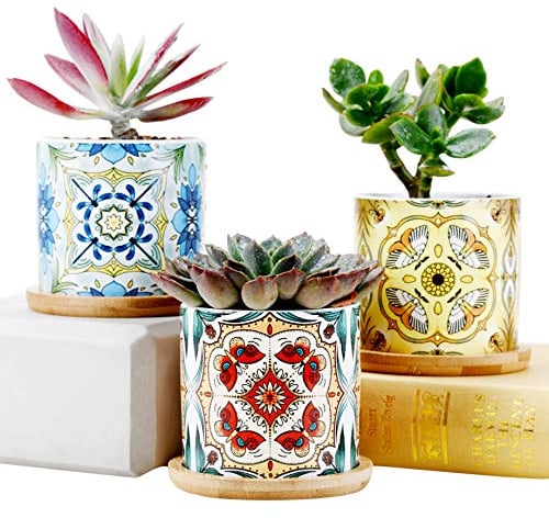SUN-E Sukkulente Pflanze Töpfe Kaktus Topf Mini Pflanze Dekorative Keramik Indoor Blume Töpfe Pflanzer Geschenk Idee Schmetterling -Libelle-Motte Serie Home Office Dekorationen
