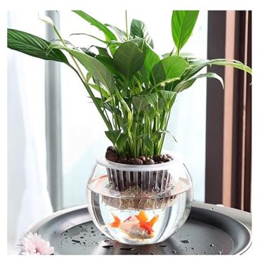 GLigeT ﻿Pot de Fleurs Vase hydroponique en Verre Transparent for Plantes d'eau, récipient for Poissons, Pot de Plantes Vertes d'intérieur Cache-Pots(Grand)