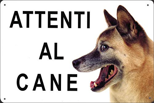 Cartel Attenti al perro plastificado con 2 tiras adhesivas de 30 x 20 cm para visibilidad a distancia, blanco.