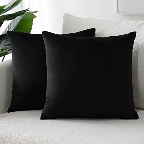 Sungeek 2er Set Samt Kissenbezüge, Dekorativ Zierkissenbezüge Weich Kissenbezug Dekokissen Sofakissen Couchkissen Deko Bezug Kissenhülle für Sofa Schlafzimmer Wohnzimmer (60x60 cm, Schwarz)