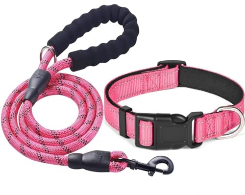 KOMUNJ Ensemble collier et laisse réfléchissante pour chien, collier réglable, laisse en nylon durable pour chiens de taille moyenne et grande, rose, s