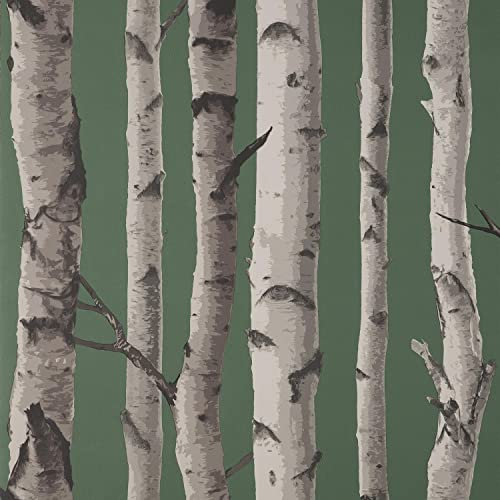 Birch Trees Dark Green Wallpaper - Nature Branches Grey - Modern. Contemporary, Feature Wall, Paste The Wall