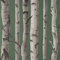 Birch Trees Dark Green Wallpaper - Nature Branches Grey - Modern. Contemporary, Feature Wall, Paste The Wall