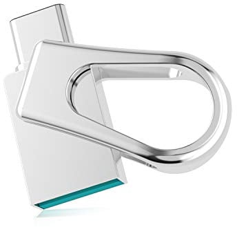 Chiavetta USB C 64GB, RAOYI Pendrive USB 3.0 e Tipo C OTG Dual Flash Drive Metallo Impermeabile Compatibile con PC, Telefoni (Huawei, Xiaomi, Oneplus), Argento
