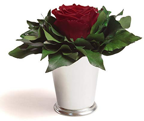 ROSEMARIE SCHULZ Heidelberg Infinity Rose in silberfarbenen Becher 1 ewige Rose konserviert Blumenstrauß, Rosenbox, Flowerbox langhaltend (Burgundy, 1 Rose)
