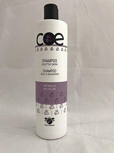 COE Shampoo gegen Violett und Brombeer No-Yellow | 500 ml