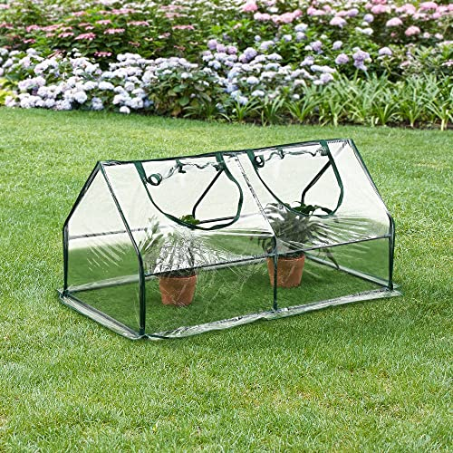 Châssis de Jardin avec Toiture à 2 Pans Mini Serre de Jardin à 2 Fenêtres Zippées Châssis de Couche pour Fleurs Légumes Fruits Acier PVC 120 x 60 x 60 cm Transparent